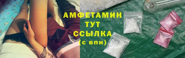 apvp Богородицк