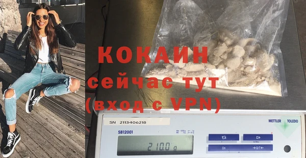 apvp Богородицк