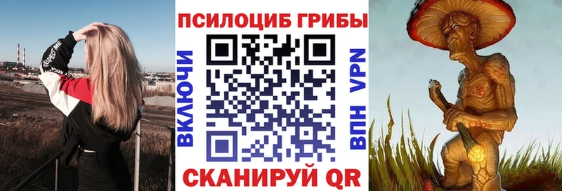 Галлюциногенные грибы Psilocybe  Михайловск 